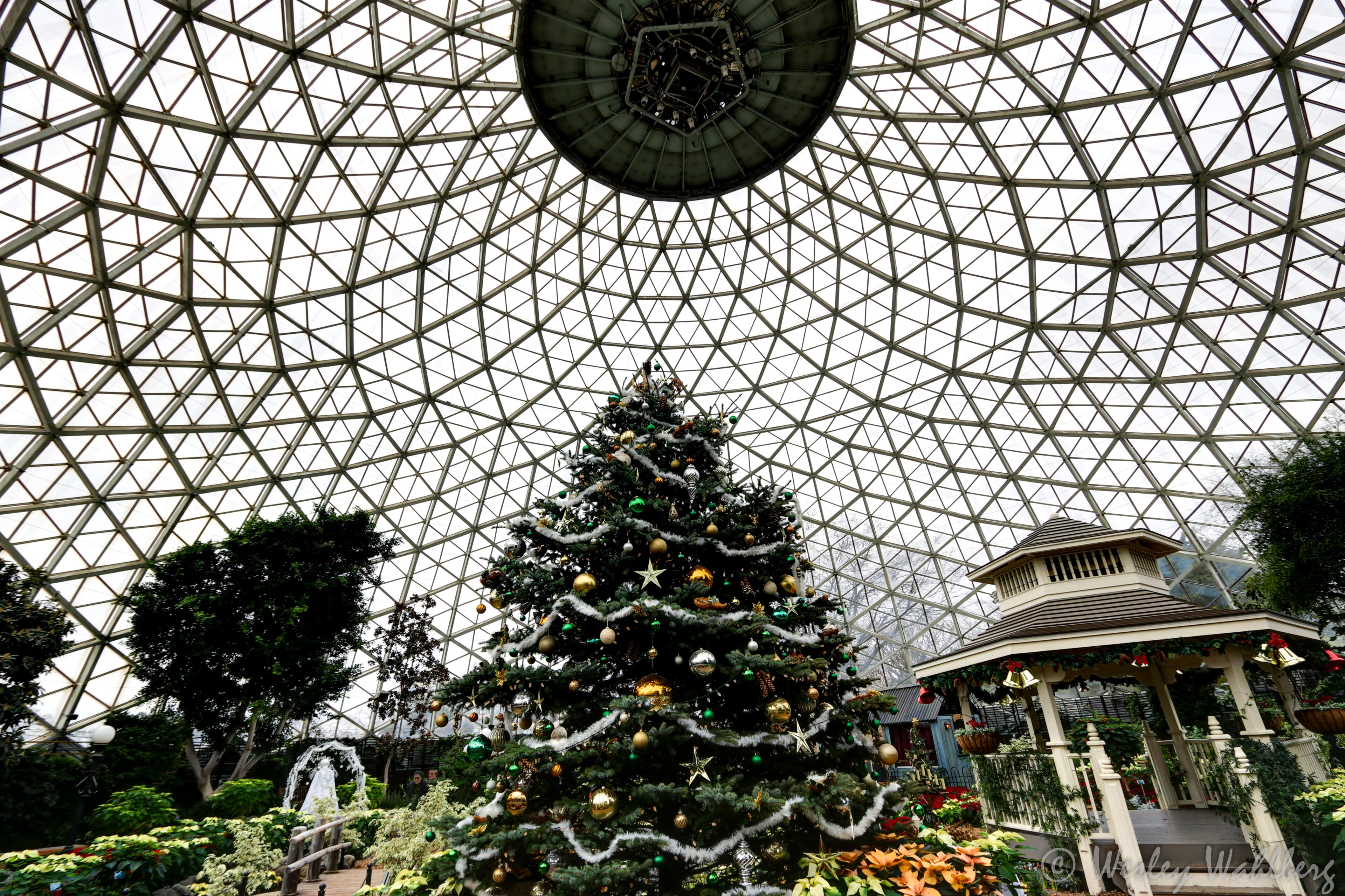 Milwaukee Domes Christmas tree